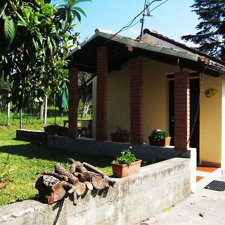 L'Albero Delle Noci Villa Lanciano Kültér fotó